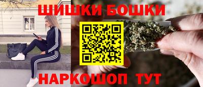 прущие грибы Новозыбков