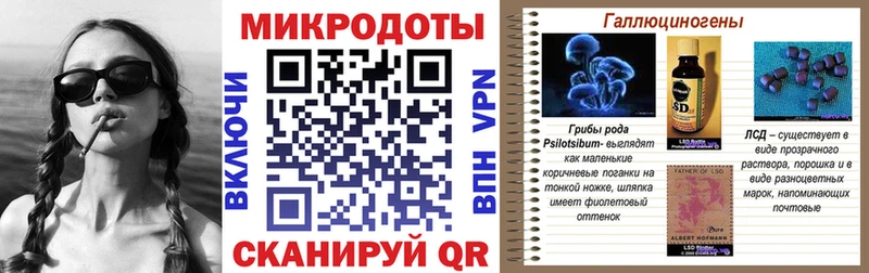 blacksprut ссылка купить Радужный Галлюциногенные грибы Cubensis